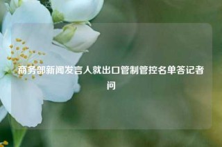 商务部新闻发言人就出口管制管控名单答记者问