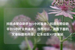 抖音点赞自助平台24小时服务,抖音点赞自助平台24小时全网最低,当然可以,请看下面的文章标题和内容。亿乐社区SUP货源站