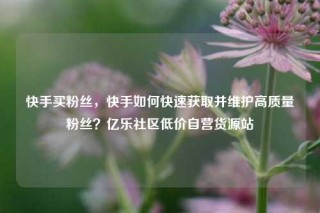 快手买粉丝,快手如何快速获取并维护高质量粉丝?亿乐社区低价自营货源站