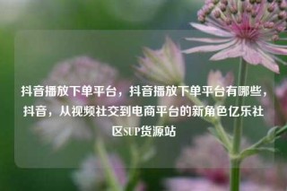 抖音播放下单平台,抖音播放下单平台有哪些,抖音,从视频社交到电商平台的新角色亿乐社区SUP货源站