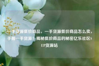 一手货源低价商品,一手货源低价商品怎么卖,手握一手货源!揭秘低价商品的秘密亿乐社区SUP货源站