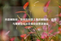 抖音刷粉丝,如何在抖音上高效刷粉丝,技巧与策略亿乐社区低价自营货源站