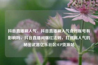 抖音直播刷人气,抖音直播刷人气会对账号有影响吗,抖音直播间爆红法则,打造高人气的秘密武器亿乐社区SUP货源站