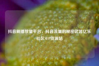 抖音刷播放量平台,抖音流量的秘密武器亿乐社区SUP货源站