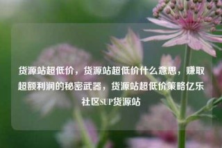 货源站超低价,货源站超低价什么意思,赚取超额利润的秘密武器,货源站超低价策略亿乐社区SUP货源站