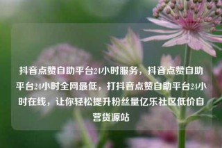 抖音点赞自助平台24小时服务,抖音点赞自助平台24小时全网最低,打抖音点赞自助平台24小时在线,让你轻松提升粉丝量亿乐社区低价自营货源站