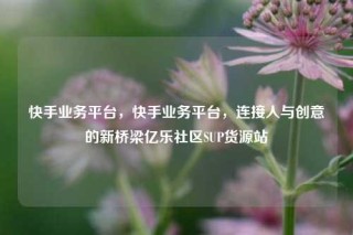 快手业务平台，快手业务平台，连接人与创意的新桥梁亿乐社区SUP货源站