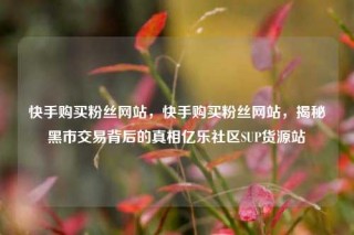 快手购买粉丝网站,快手购买粉丝网站,揭秘黑市交易背后的真相亿乐社区SUP货源站
