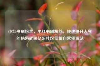 小红书刷粉丝,小红书刷粉丝,快速提升人气的秘密武器亿乐社区低价自营货源站