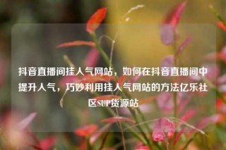 抖音直播间挂人气网站,如何在抖音直播间中提升人气,巧妙利用挂人气网站的方法亿乐社区SUP货源站