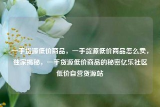 一手货源低价商品,一手货源低价商品怎么卖,独家揭秘,一手货源低价商品的秘密亿乐社区低价自营货源站