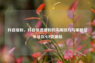 抖音涨粉,抖音快速增粉的实用技巧与策略亿乐社区SUP货源站