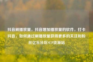 抖音刷播放量,抖音增加播放量的软件,打卡抖音,如何通过刷播放量获得更多的关注和粉丝亿乐社区SUP货源站