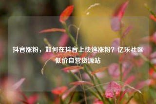 抖音涨粉,如何在抖音上快速涨粉?亿乐社区低价自营货源站