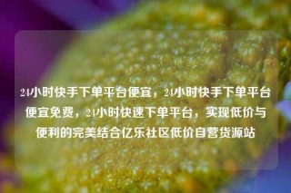 24小时快手下单平台便宜,24小时快手下单平台便宜免费,24小时快速下单平台,实现低价与便利的完美结合亿乐社区低价自营货源站