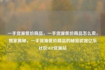 一手货源低价商品，一手货源低价商品怎么卖，独家揭秘，一手货源低价商品的秘密武器亿乐社区SUP货源站