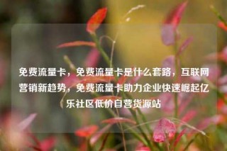 免费流量卡,免费流量卡是什么套路,互联网营销新趋势,免费流量卡助力企业快速崛起亿乐社区低价自营货源站