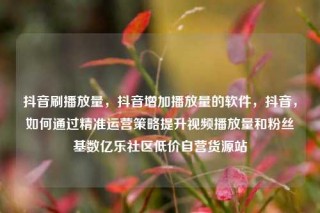抖音刷播放量,抖音增加播放量的软件,抖音,如何通过精准运营策略提升视频播放量和粉丝基数亿乐社区低价自营货源站