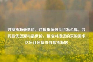 对接货源最低价,对接货源最低价怎么算,寻找最优货源与最低价,精准对接您的采购需求亿乐社区低价自营货源站