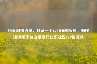 抖音刷播放量,抖音一毛钱10000播放量,揭秘短视频平台流量密码亿乐社区SUP货源站