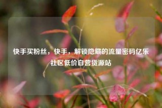 快手买粉丝,快手,解锁隐藏的流量密码亿乐社区低价自营货源站