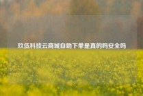 玖伍科技云商城自助下单是真的吗安全吗