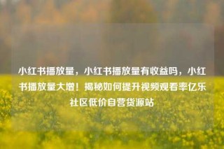 小红书播放量,小红书播放量有收益吗,小红书播放量大增!揭秘如何提升视频观看率亿乐社区低价自营货源站