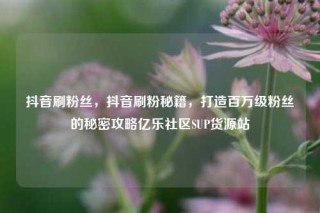 抖音刷粉丝,抖音刷粉秘籍,打造百万级粉丝的秘密攻略亿乐社区SUP货源站
