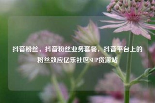 抖音粉丝，抖音粉丝业务套餐，抖音平台上的粉丝效应亿乐社区SUP货源站