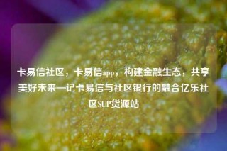 卡易信社区,卡易信app,构建金融生态,共享美好未来—记卡易信与社区银行的融合亿乐社区SUP货源站