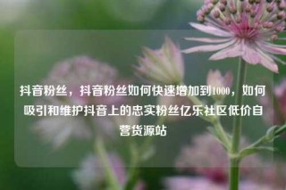 抖音粉丝,抖音粉丝如何快速增加到1000,如何吸引和维护抖音上的忠实粉丝亿乐社区低价自营货源站