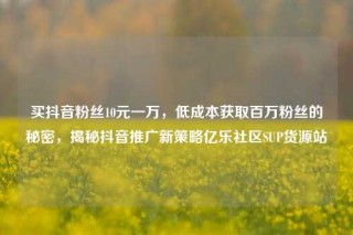 买抖音粉丝10元一万,低成本获取百万粉丝的秘密,揭秘抖音推广新策略亿乐社区SUP货源站
