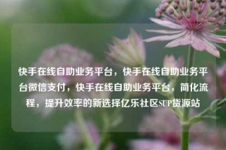 快手在线自助业务平台,快手在线自助业务平台微信支付,快手在线自助业务平台,简化流程,提升效率的新选择亿乐社区SUP货源站