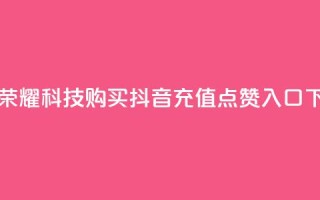 王者荣耀科技购买 - 抖音充值点赞入口