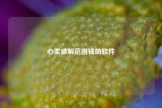 心柔破解范围辅助软件