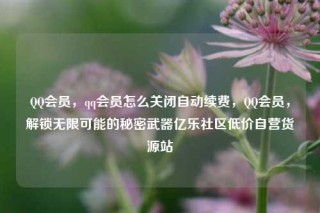 QQ会员,qq会员怎么关闭自动续费,QQ会员,解锁无限可能的秘密武器亿乐社区低价自营货源站