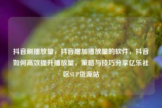 抖音刷播放量,抖音增加播放量的软件,抖音如何高效提升播放量,策略与技巧分享亿乐社区SUP货源站