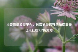 抖音刷播放量平台，抖音流量提升的秘密武器亿乐社区SUP货源站