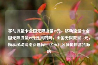 移动流量卡全国无限流量19元,移动流量卡全国无限流量19元是真的吗,全国无限流量19元,畅享移动网络新选择!亿乐社区低价自营货源站