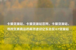 卡盟货源站,卡盟货源站官网,卡盟货源站,寻找优质商品的高效途径亿乐社区SUP货源站