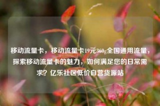 移动流量卡,移动流量卡19元360g全国通用流量,探索移动流量卡的魅力,如何满足您的日常需求?亿乐社区低价自营货源站