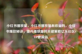 小红书播放量，小红书播放量有收益吗，小红书爆款秘诀，提升播放量的关键策略亿乐社区SUP货源站