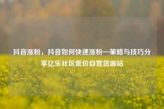 抖音涨粉,抖音如何快速涨粉—策略与技巧分享亿乐社区低价自营货源站