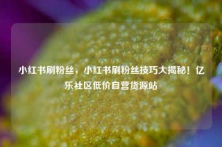 小红书刷粉丝,小红书刷粉丝技巧大揭秘!亿乐社区低价自营货源站