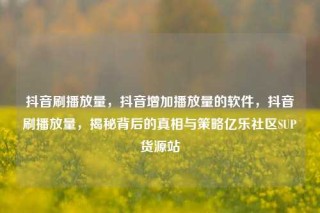 抖音刷播放量,抖音增加播放量的软件,抖音刷播放量,揭秘背后的真相与策略亿乐社区SUP货源站
