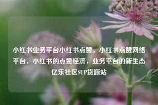 小红书业务平台小红书点赞,小红书点赞网络平台,小红书的点赞经济,业务平台的新生态亿乐社区SUP货源站