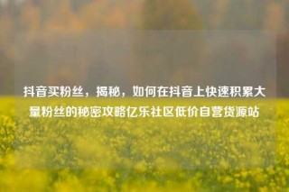 抖音买粉丝,揭秘,如何在抖音上快速积累大量粉丝的秘密攻略亿乐社区低价自营货源站