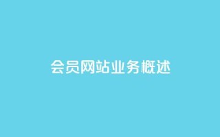 qq会员网站业务概述