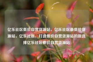 亿乐社区低价自营货源站,亿乐社区最低价货源站,亿乐社区,打造低价自营货源站的新选择亿乐社区低价自营货源站