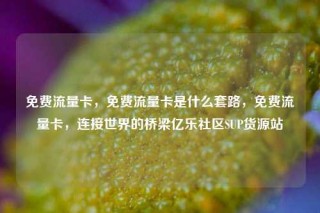 免费流量卡,免费流量卡是什么套路,免费流量卡,连接世界的桥梁亿乐社区SUP货源站
